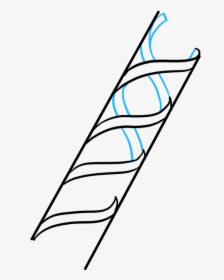 How To Draw Dna - Dna Drawing Step By Step, HD Png Download, Transparent PNG