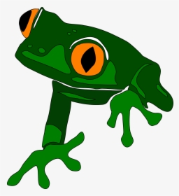 Frog, Animal, Cute, Amphibian, Green, Tropical, Exotic - Group Of Frog Is Called, HD Png Download, Transparent PNG