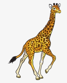 Giraffe Black And White, HD Png Download, Transparent PNG