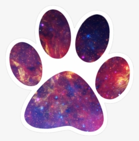 #paw #galaxy #tumblr - Transparent Paw Print Clipart, HD Png Download, Transparent PNG