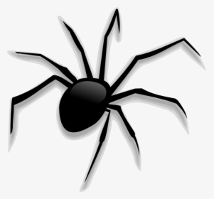 Spider Clip Art Scary - Spider Halloween Clipart, HD Png Download, Transparent PNG