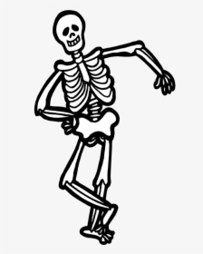 Skeleton Clipart Child Transparent - Skeleton Clipart Png, Png Download, Transparent PNG