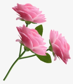Rose Pink Clip Art - Pink Rose Transparent Background, HD Png Download, Transparent PNG
