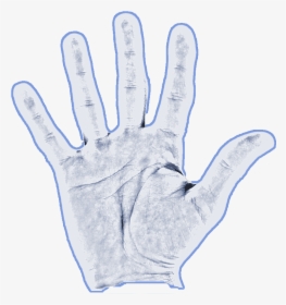 Sketch, HD Png Download, Transparent PNG