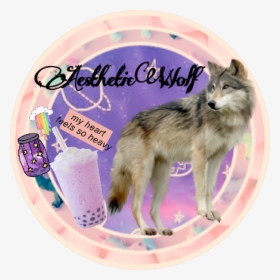 #wolf #icon #aesthetic #rainbow #coffee #jar #stars - Wolf, HD Png Download, Transparent PNG