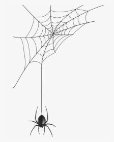 Png Library Download Spider Web Thank You Errortape - Spider And Web Drawing, Transparent Png, Transparent PNG