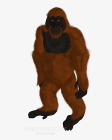 Scrapped Orangutan - Monkey, HD Png Download, Transparent PNG