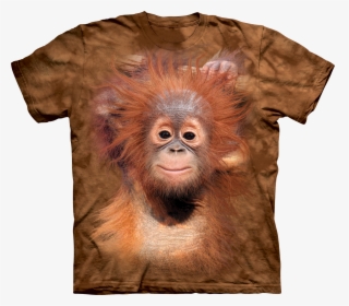 Baby Orangutan Cool Tees And Gear - Animal T Shirts, HD Png Download, Transparent PNG