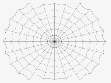 Drawn Spider Web Vector - Spider Web Cartoon Png, Transparent Png, Transparent PNG