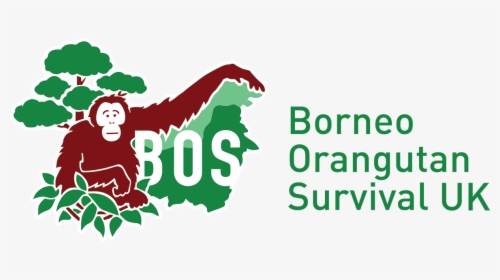 Bornean Orangutan Survival Foundation, HD Png Download, Transparent PNG