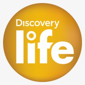 Discovery Life Logo - Discovery Channel, HD Png Download, Transparent PNG