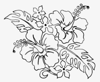 Flower Pen Drawing - Tropical Flower Coloring Pages, HD Png Download, Transparent PNG