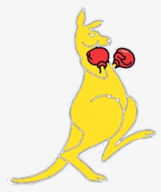 Kangaroo Clipart Boxing - Boxing Kangaroo, HD Png Download, Transparent PNG