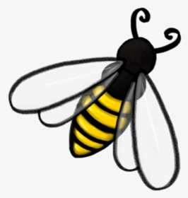 Honeybee Books Bee Icon - Honey Bee Icon, HD Png Download, Transparent PNG