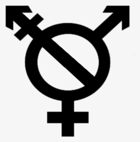 Transparent Trans Flag Png - Transparent Transgender Symbol Png, Png Download, Transparent PNG