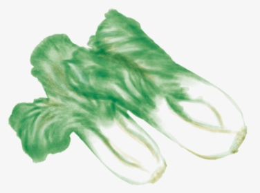 Ps Bokchoy - Tattoo, HD Png Download, Transparent PNG