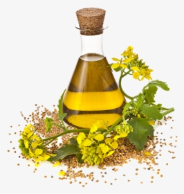 Canola Oil Made, HD Png Download, Transparent PNG
