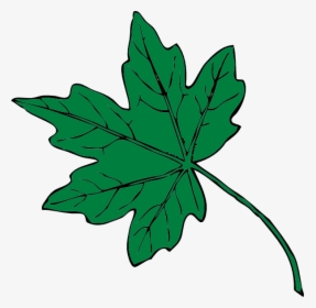 Mid Green Maple Leaf Clip Art At Clker - Thanksgiving Leaf Clip Art, HD Png Download, Transparent PNG