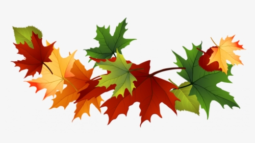 Transparent Leaves Clipart - Falling Fall Leaves Clip Art, HD Png Download, Transparent PNG