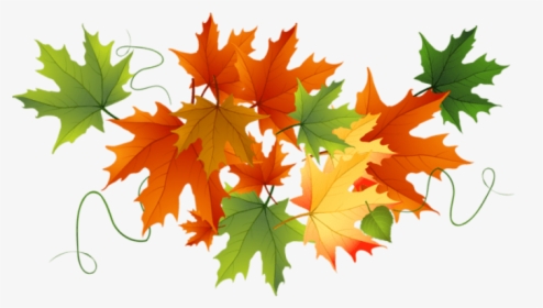 Free Png Download Autumn Transparent Leaves Clipart - Fall Leaves Transparent Background, Png Download, Transparent PNG