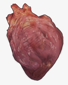 Heart Fowl- - Conch, HD Png Download, Transparent PNG