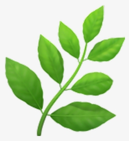 #emoji #emojisticker #plant - Herb Emoji Transparent, HD Png Download, Transparent PNG