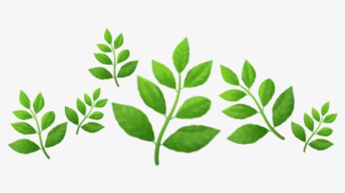 Plant Emoji Crown, HD Png Download, Transparent PNG