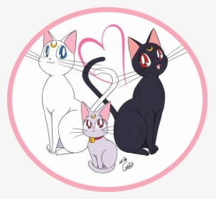 Moon Sailor Moon Luna Y Artemis Hd Png Download Transparent Png Image Pngitem