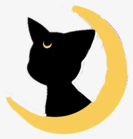 #sailormoon #cat #gato #cute #luna #moon - Gatito De Sailor Moon, HD Png Download, Transparent PNG