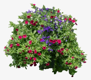 [flowers And Bushes] -hanging Flowers Png, Transparent Png, Transparent PNG