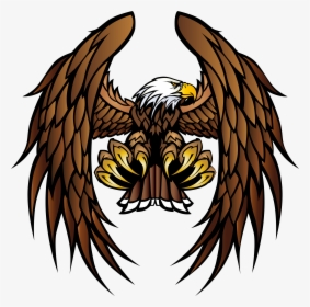 Bald Eagle White-tailed Eagle Bird Of Prey, HD Png Download, Transparent PNG