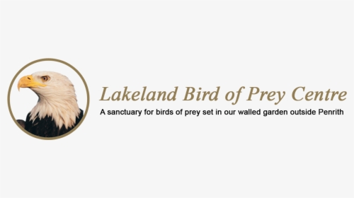 Lakeland Bird Of Prey Centre, HD Png Download, Transparent PNG