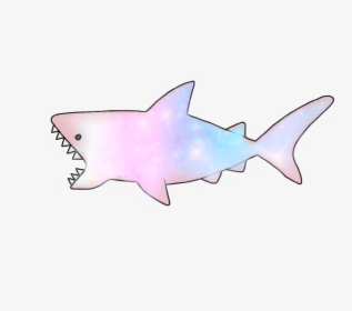 #shark #galaxy #cute #ocean, HD Png Download, Transparent PNG