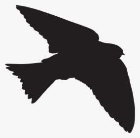 Tree Of Life Silhouette Png, Transparent Png, Transparent PNG