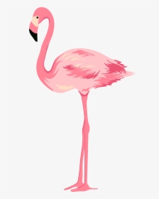 Swan Clipart Pink, HD Png Download, Transparent PNG