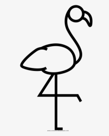 Pink Flamingo Coloring Page, HD Png Download, Transparent PNG
