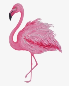 Pink Flamingo Png, Transparent Png, Transparent PNG