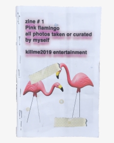 Image Of Pink Flamingo Zine, HD Png Download, Transparent PNG