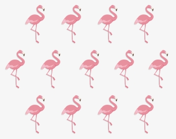 Flamingo Vector Background, HD Png Download, Transparent PNG