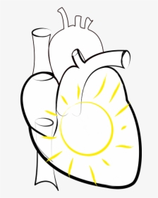 Heart, Sun, Sun In The Heart, Figure Of Speech, Png, Transparent Png, Transparent PNG