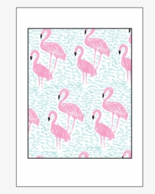 Flamingos, HD Png Download, Transparent PNG