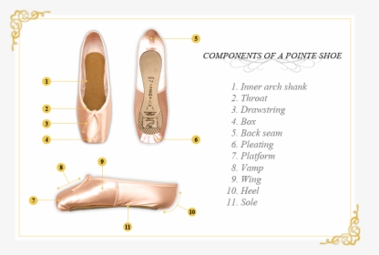 Pointe Shoes Components, HD Png Download, Transparent PNG
