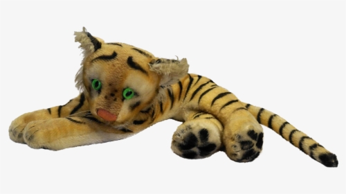 Tiger Eyes Png, Transparent Png, Transparent PNG