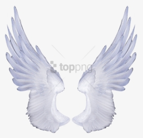 Angel Wings No Background, HD Png Download, Transparent PNG