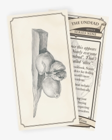 Undead Png, Transparent Png, Transparent PNG