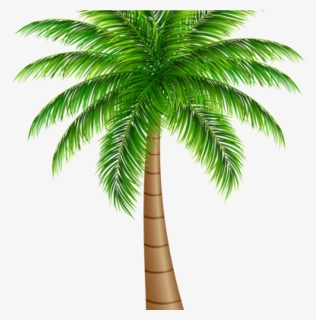 Palm Clipart Palm Tree Large Png Clip Art Image Art, Transparent Png, Transparent PNG