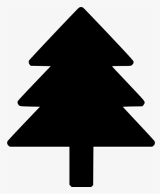 Large Christmas Pine Tree, HD Png Download, Transparent PNG