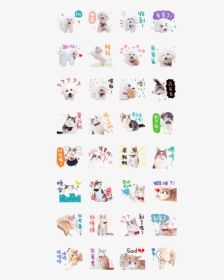 Qbi & Walle & Eva Happy Together, HD Png Download, Transparent PNG