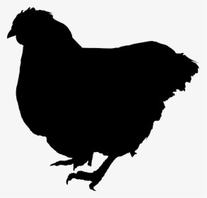 Clip Art Vector Graphics Wild Turkey Silhouette Drawing, HD Png Download, Transparent PNG