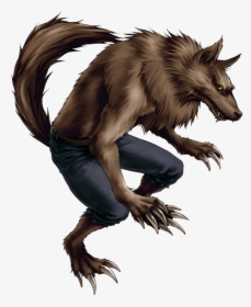 Werewolf Image, HD Png Download, Transparent PNG